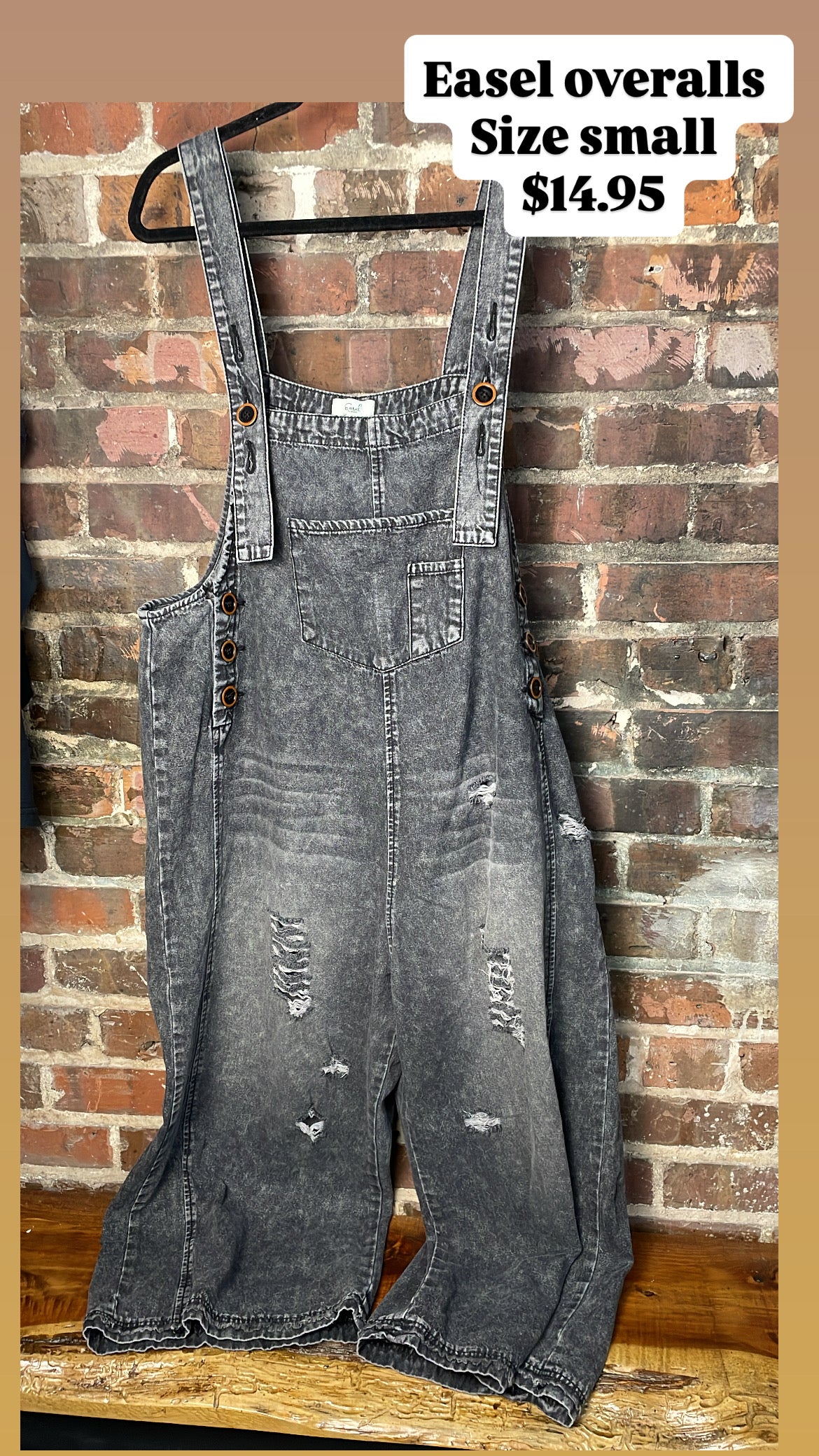 Easel overalls