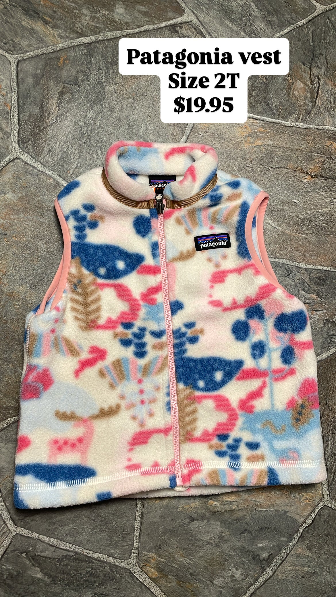 Patagonia vest