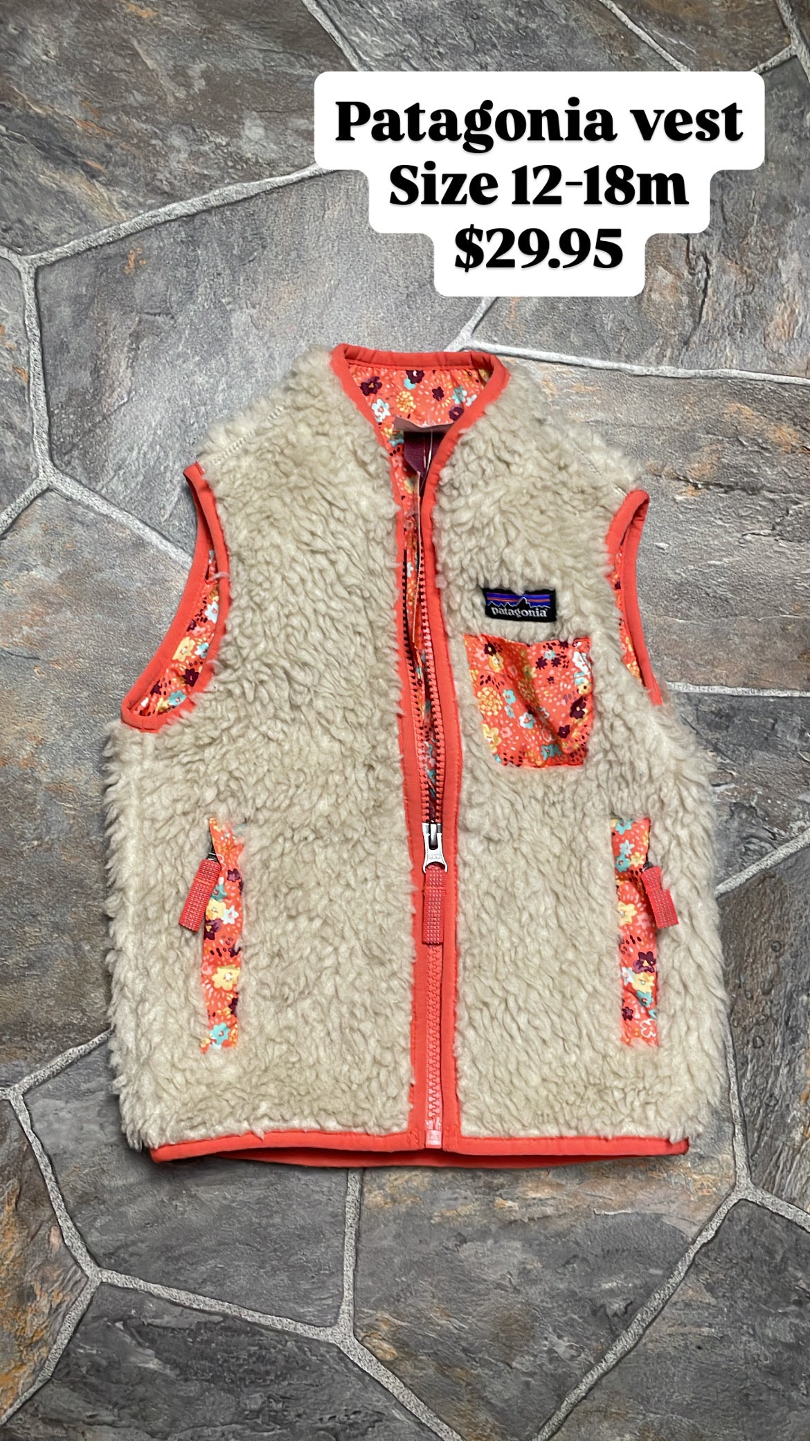 Patagonia vest