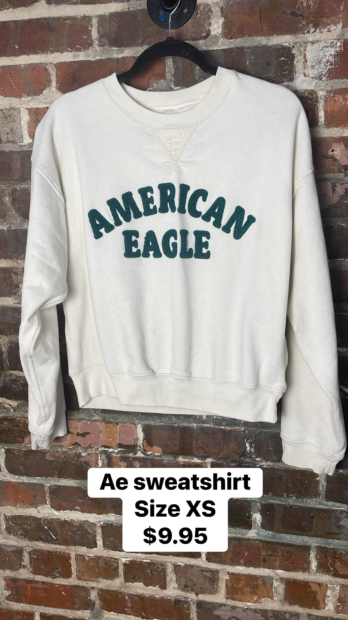Ae sweatshirt