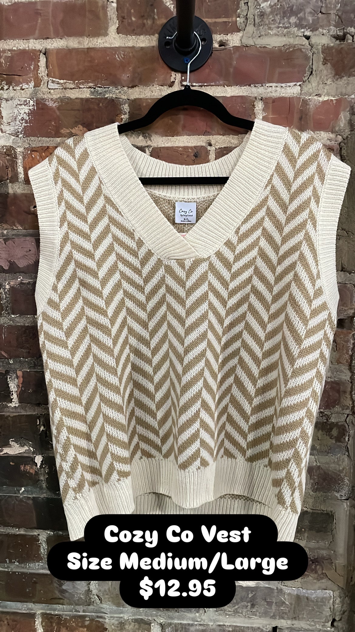 Cozy Co Vest