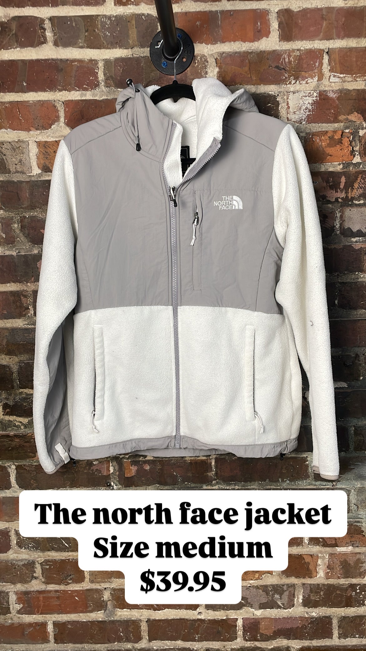 The north face jacket