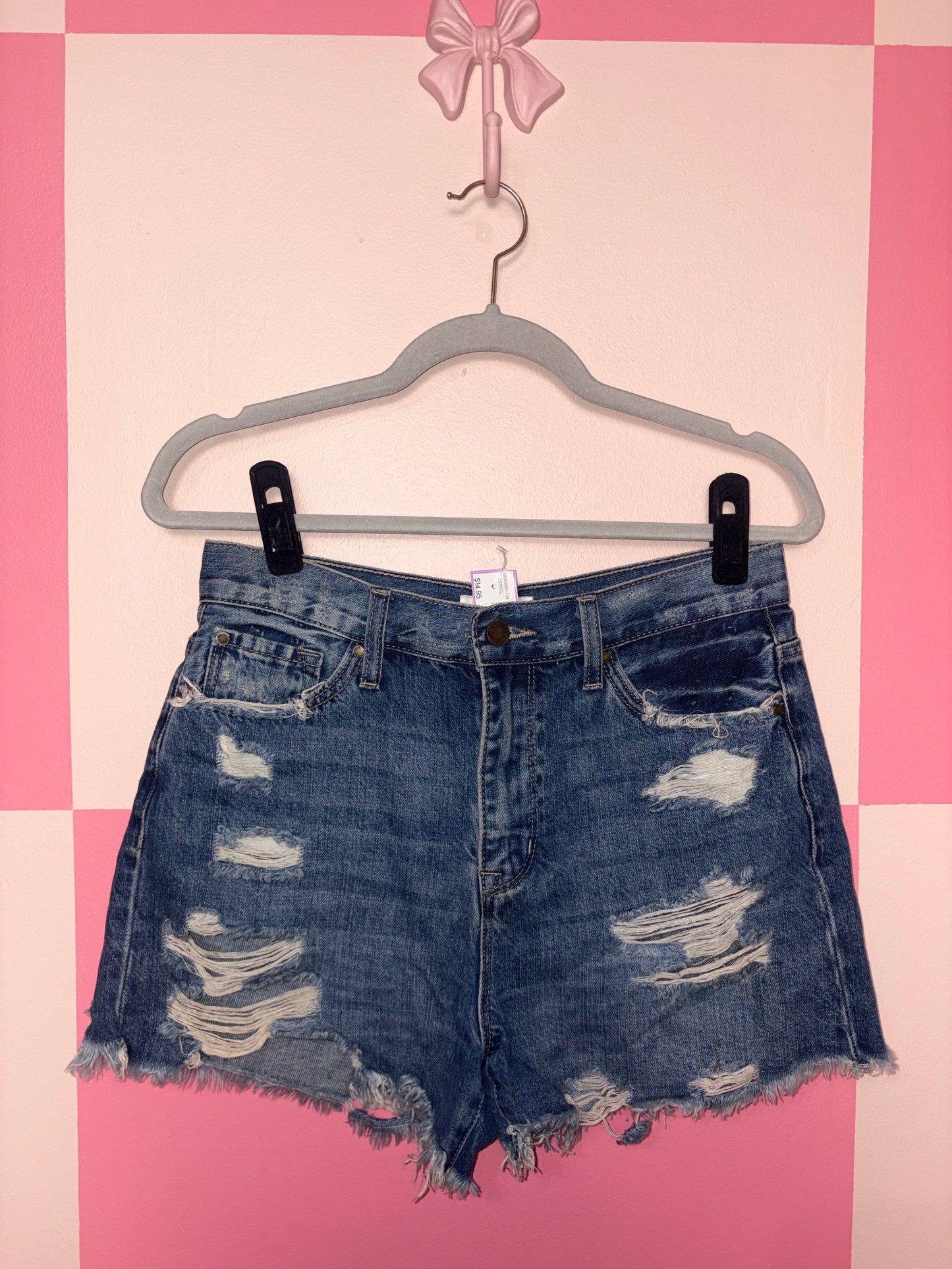Petra 153 shorts - size 5