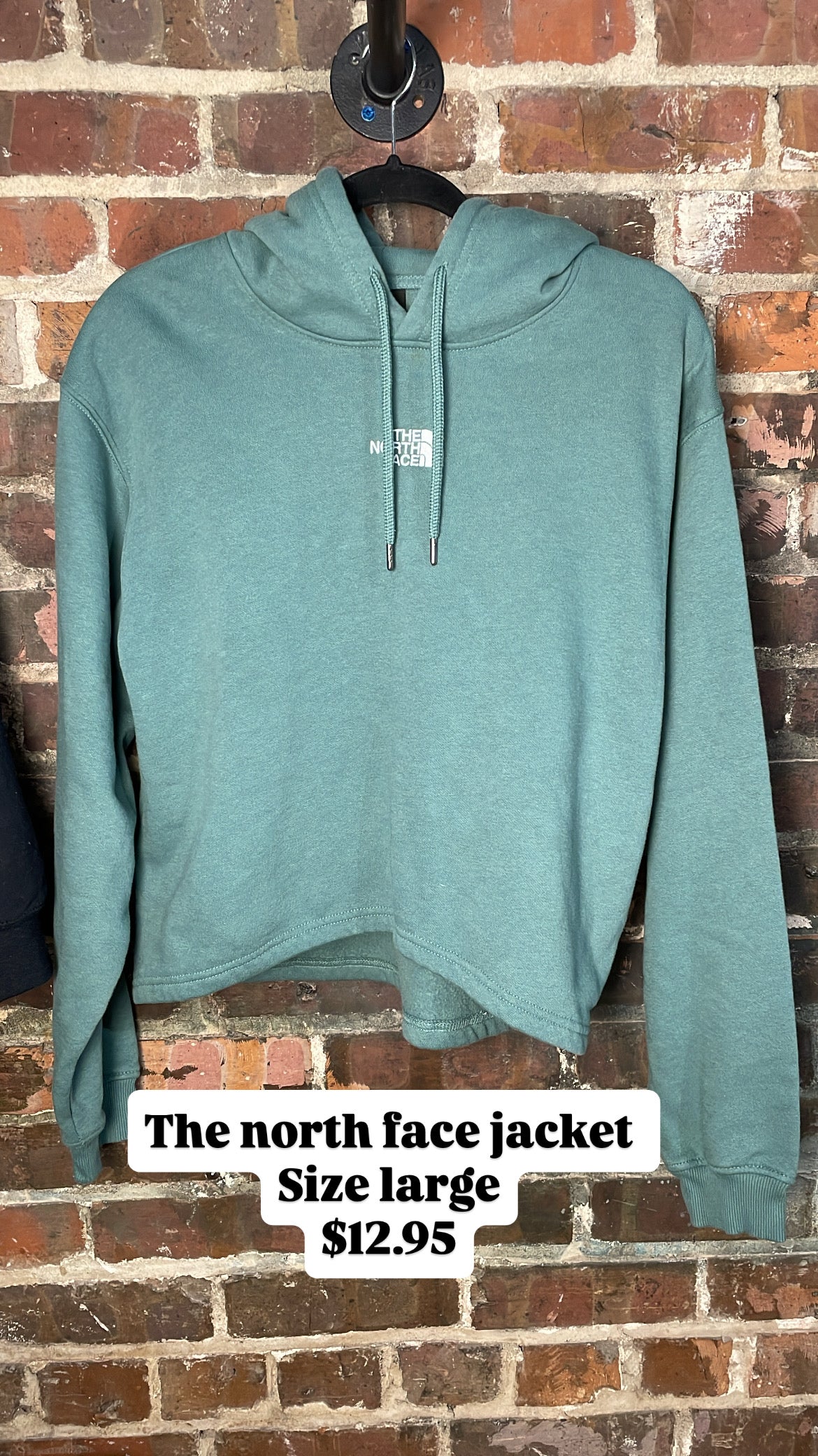 The north face jacket