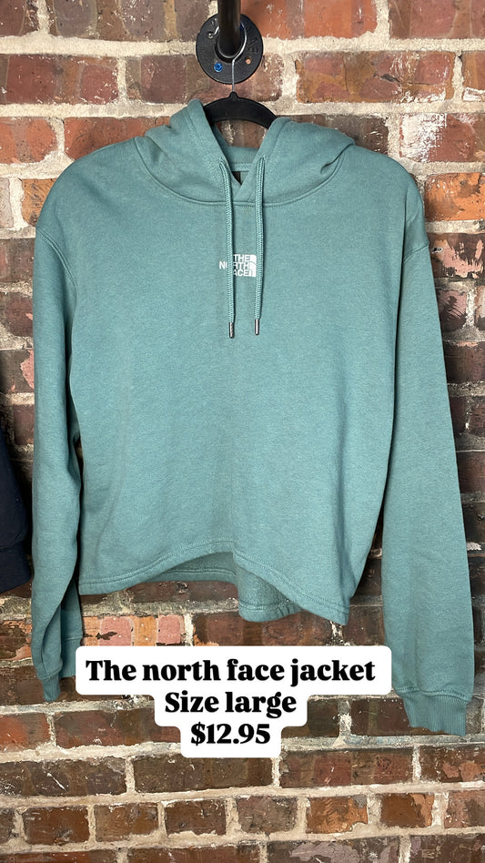 The north face jacket