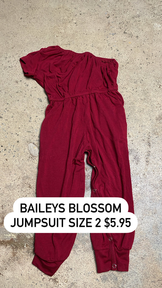 Baileys blossom jumpsuit