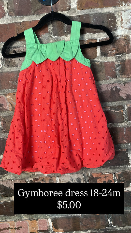 Gymboree dress