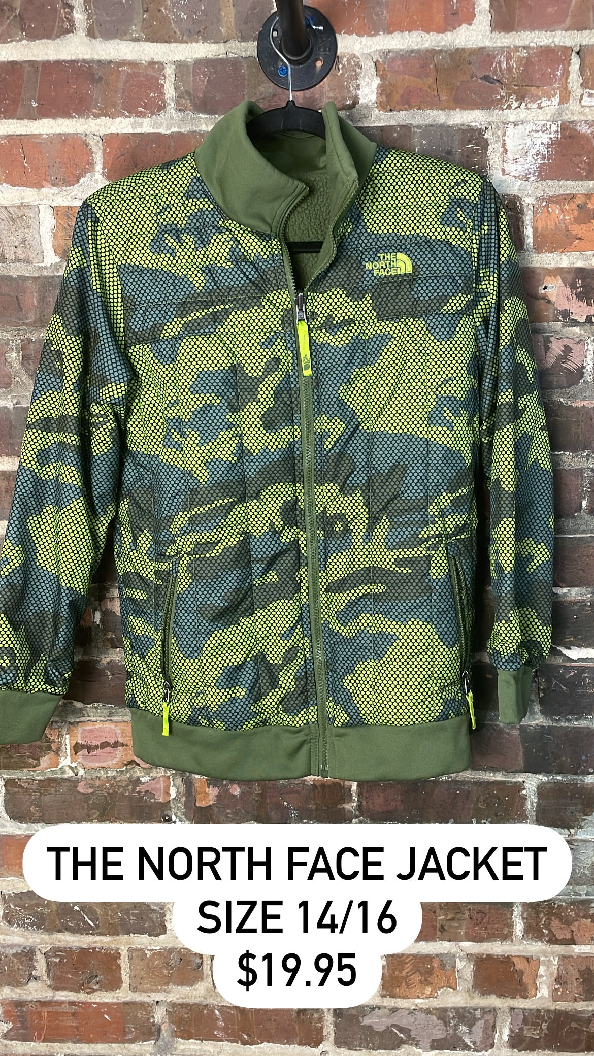 The north face jacket