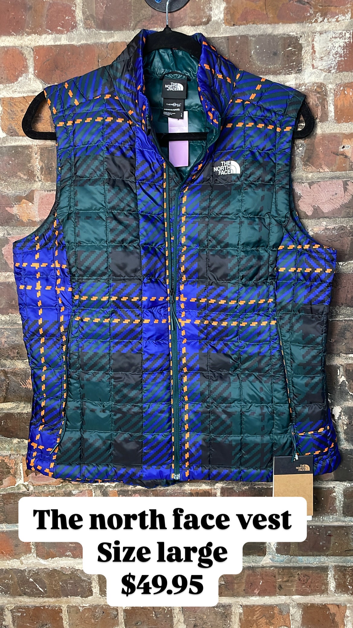 The north face jacket vest