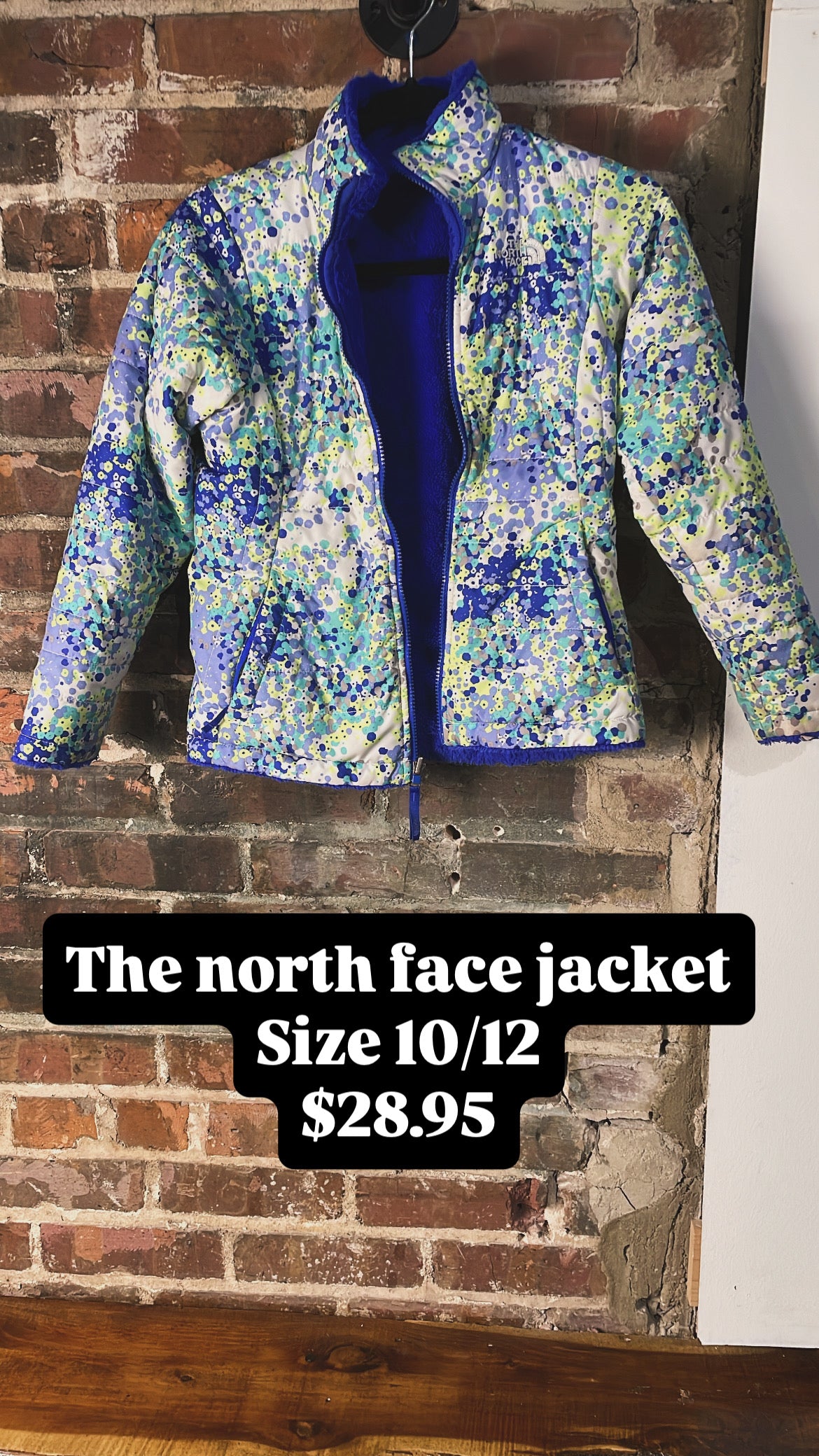 The north face jacket