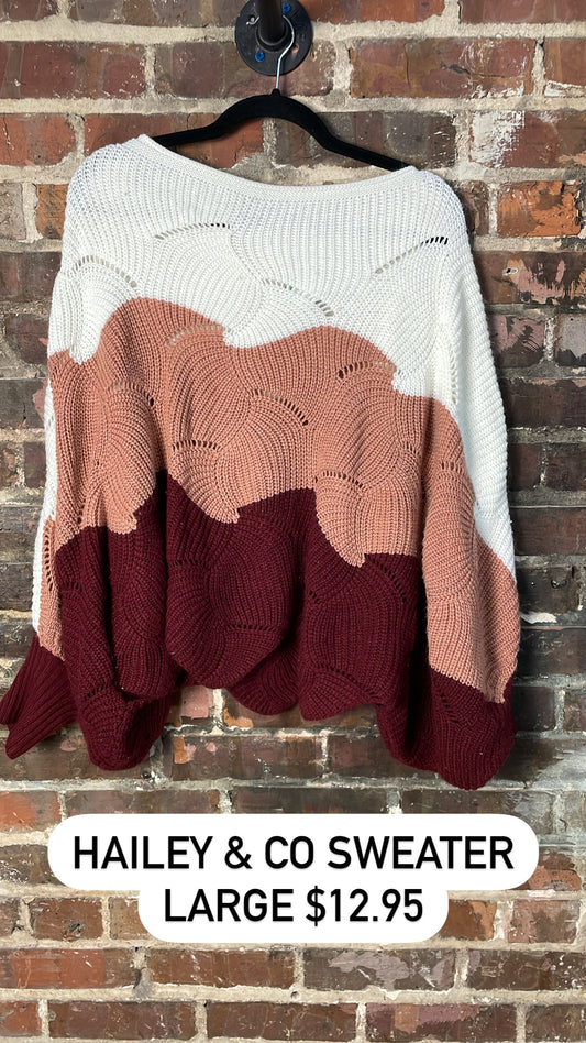 Hailey & co sweater