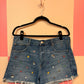 American Eagle shorts - size 14