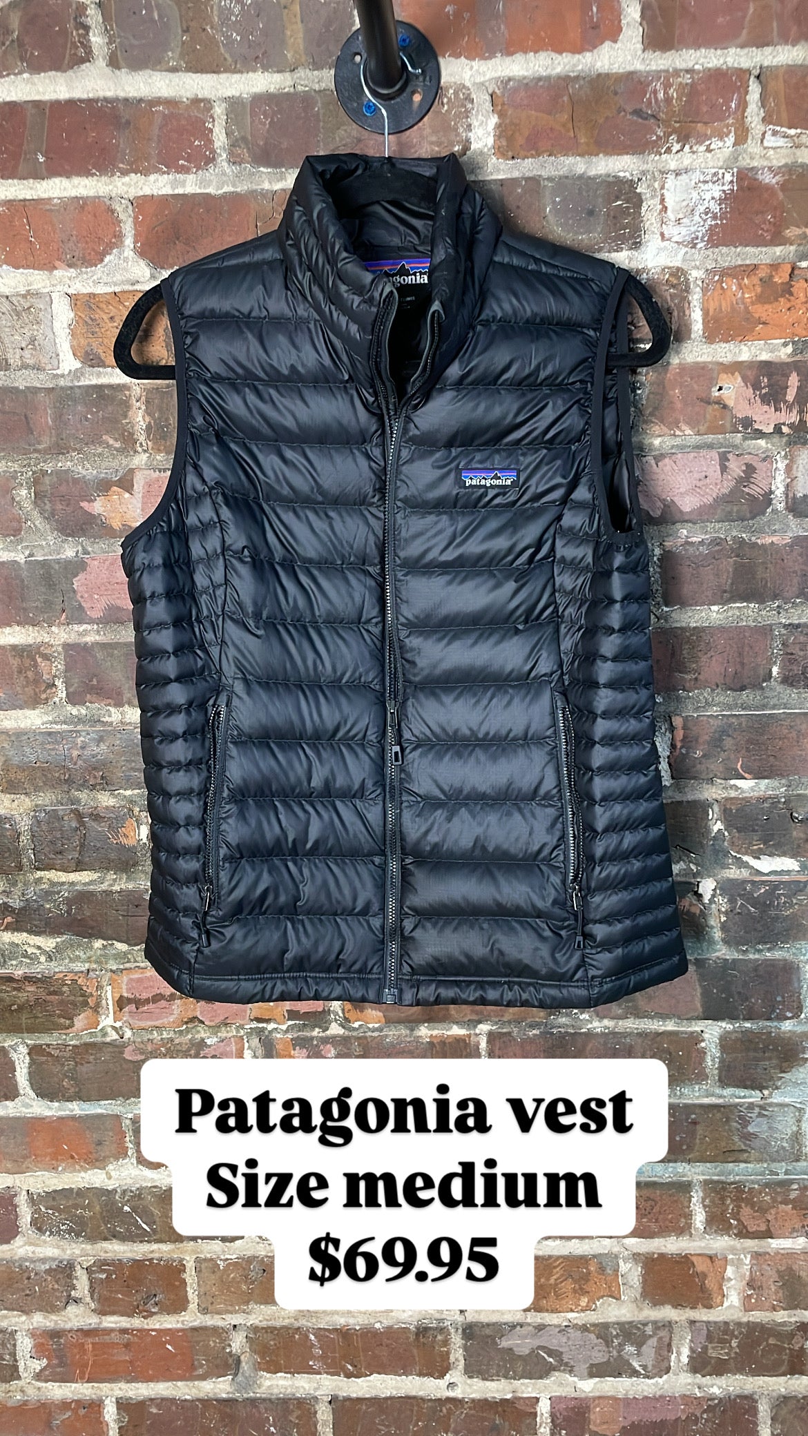 Patagonia vest