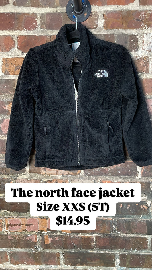 The north face jacket