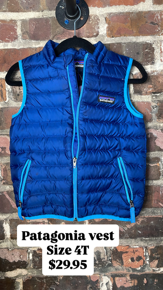 Patagonia vest