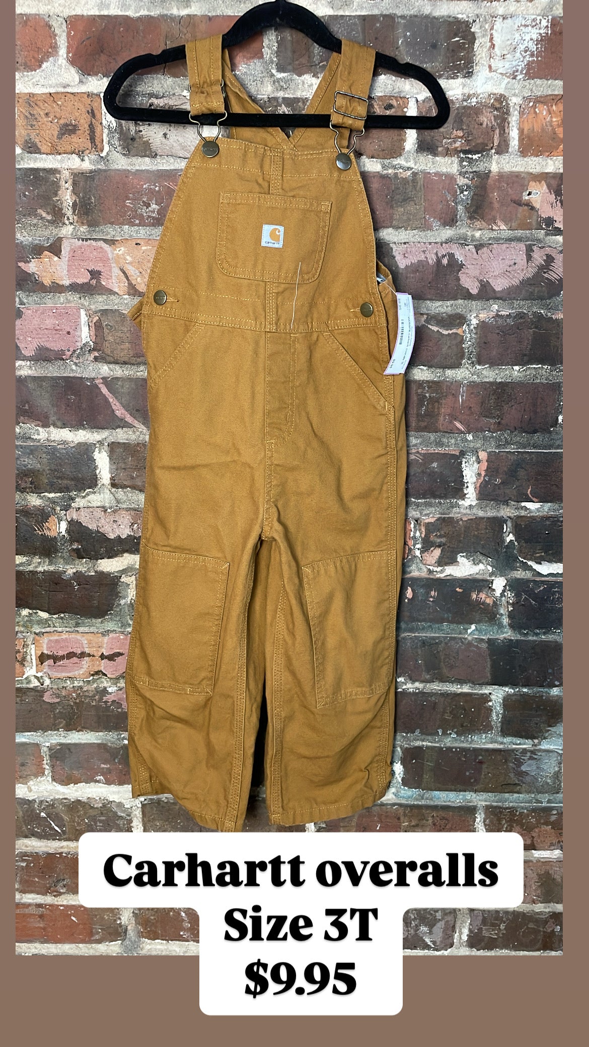 Carhartt overalls