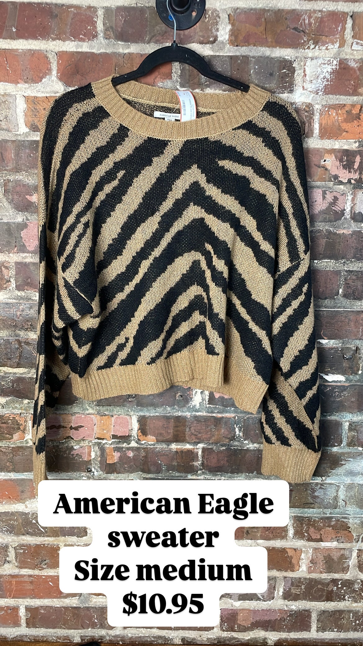 American Eagle sweater