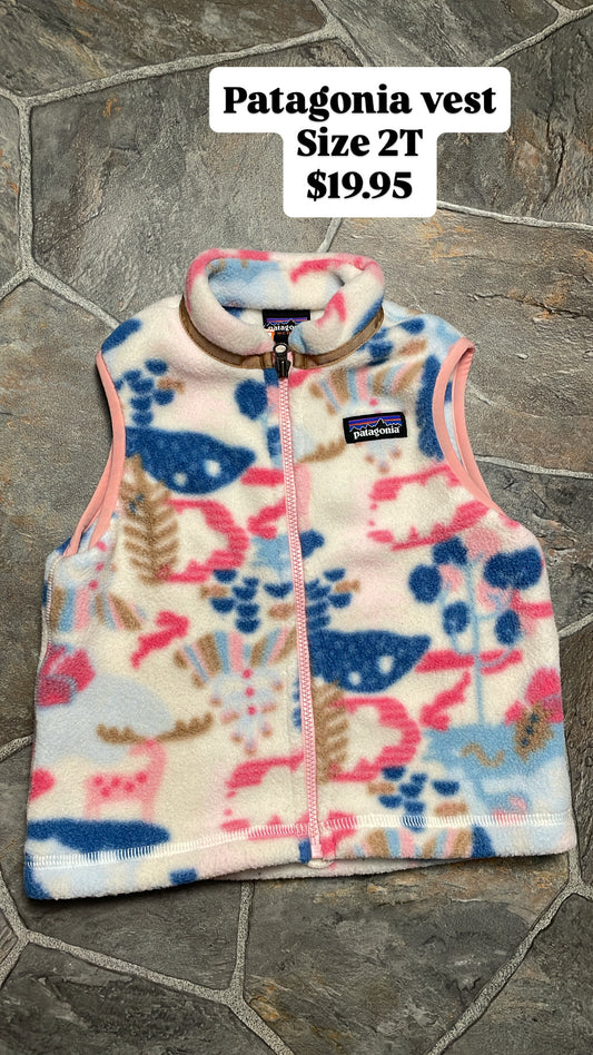 Patagonia vest