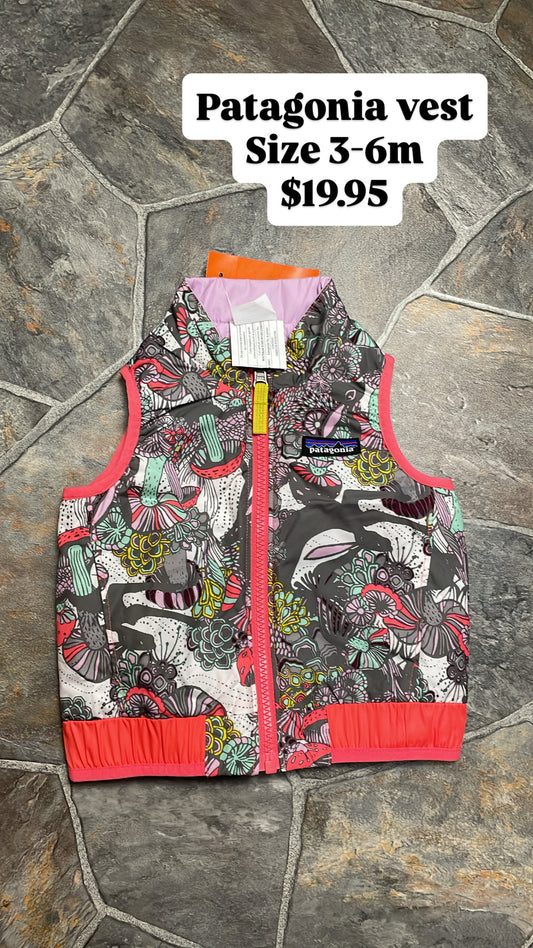 Patagonia vest