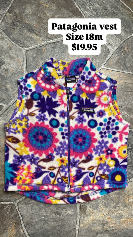 Patagonia vest