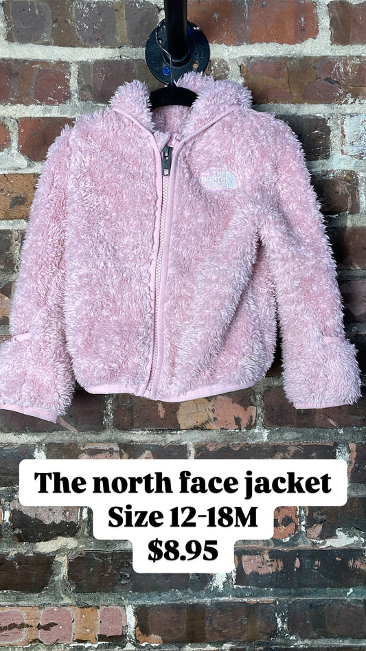 The north face jacket