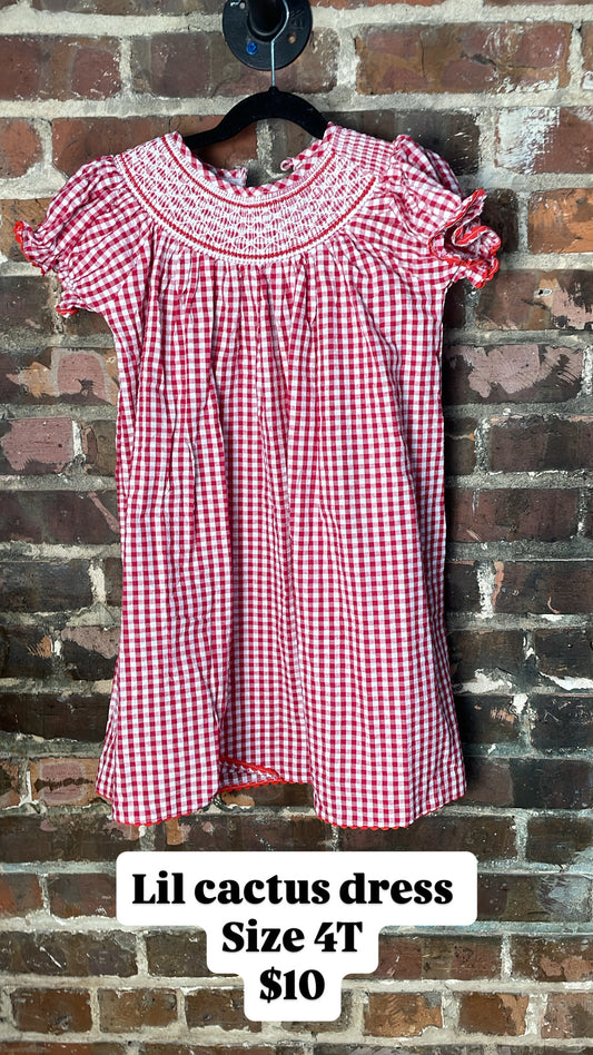 Lil cactus dress