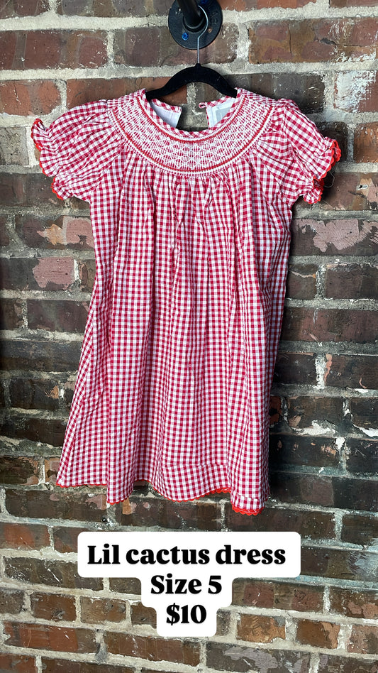 Lil cactus dress