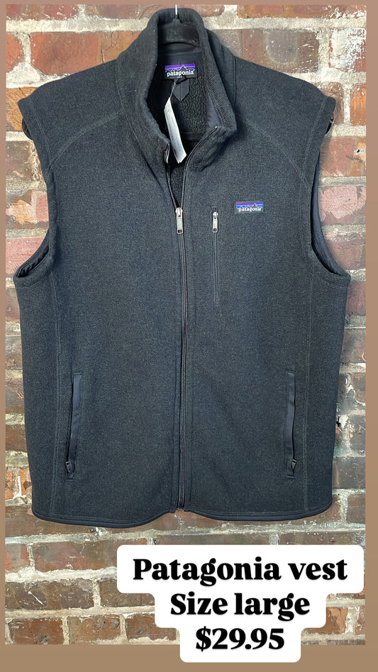 Patagonia vest