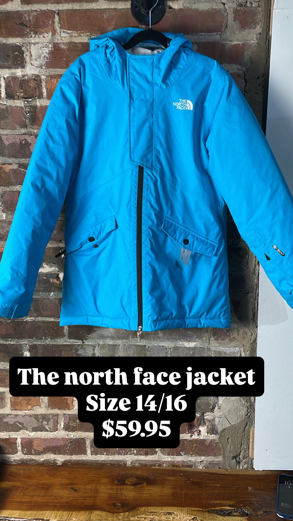 The north face jacket