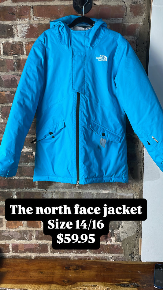 The north face jacket