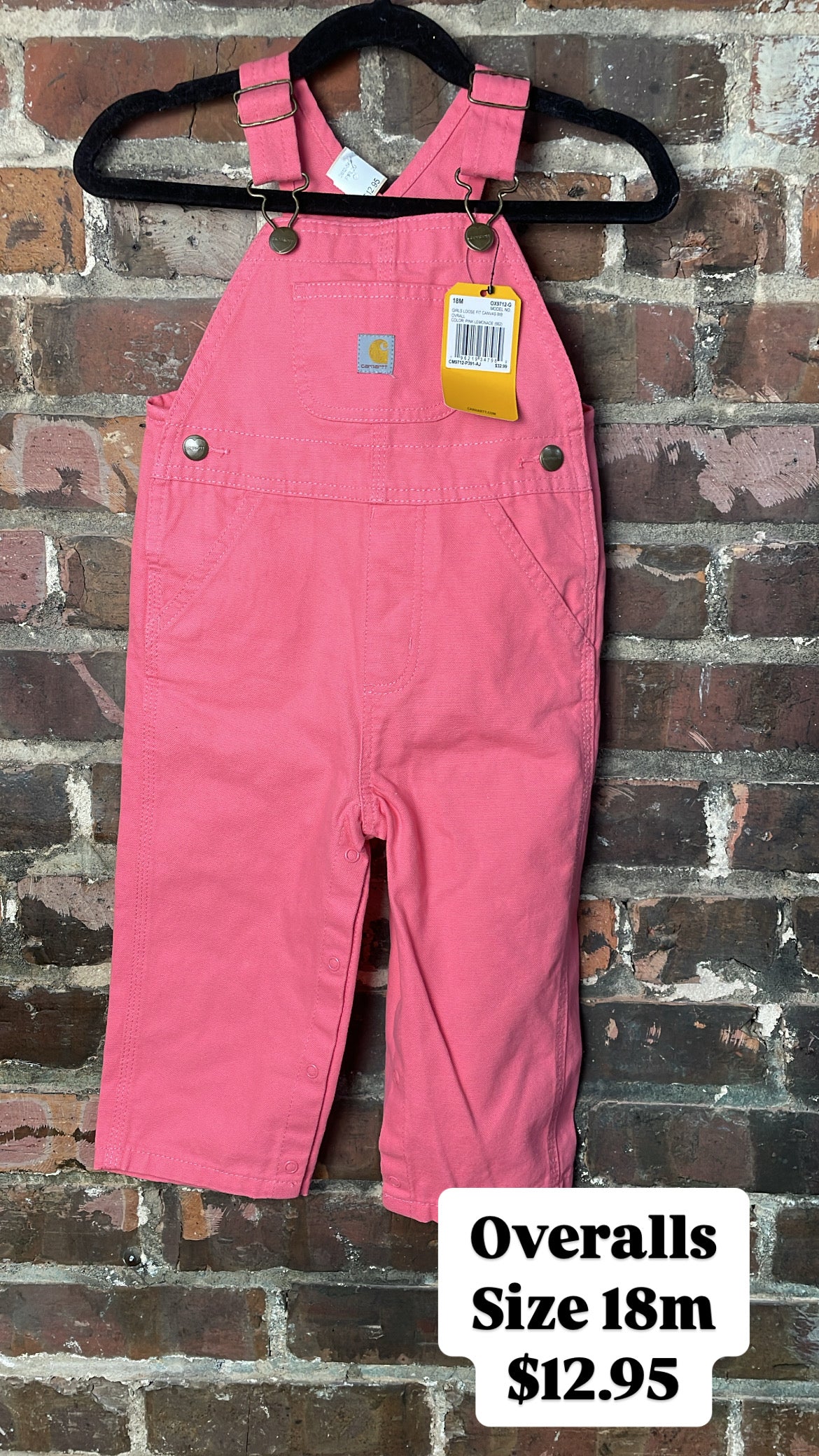 Carhartt overalls