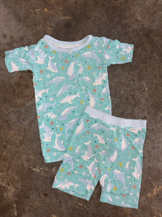 Little Sleepies pajamas - size 5/6