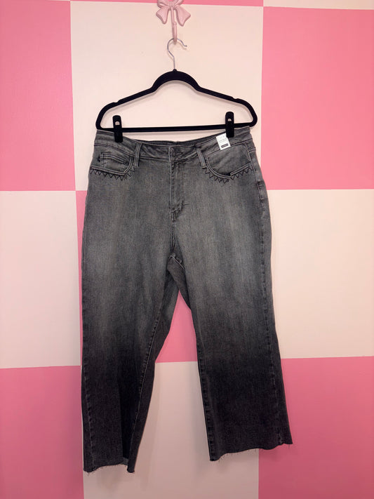 Judy Blue jeans - size 18