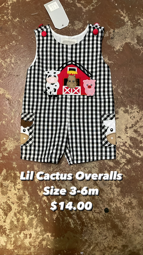 Boys Lil Cactus Overalls